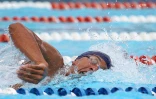 Natation 