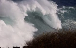 houle en bord de mer avec de grosses vagues