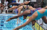 Natation 