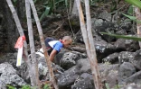 Trail de Bourbon