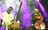 Jazz dann Port 2025