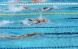 natation championnat de la réunion 