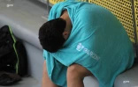Natation 