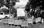 manifestation planteurs 