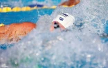 meeting natation 2017