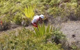 Grand raid