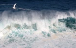 houle en bord de mer avec de grosses vagues