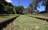 Ti Train de La Réunion