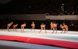 Le gala de gymnastique du Port fait le show