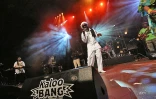 Andrew Tosh