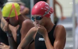 Natation 