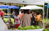 Le Marché Paysan de Sainte-Anne change de lieu et s’installe au Bassin Bleu
