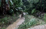 Fortes pluies dans l'est