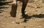 Grand Raid 2006
