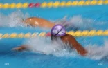 natation qualif 2017