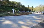 route forestière des tamarins RF9