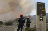 Incendie du Maïdo 8 novembre 2020