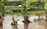 météo pluie, Sainte-Suzanne, cascade Niagara