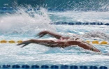  natation méeting du Port 