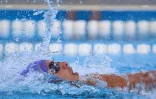 Natation 