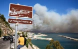 Le nuage de fumée d'un incendie visible depuis la plage des Corbières à Marseille, le 8 juillet 2025