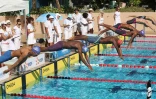 natation 