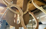 Luthier