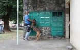 Saint-Denis : vaste opération de police au Chaudron 