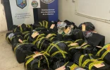 147 kg de zamal saisis par la gendarmerie