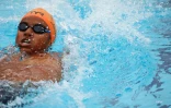 meeting natation 2017