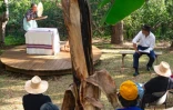 Département : un spectacle artistique au Mascarin Jardin Botanique 