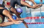 Natation