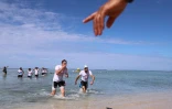 swimrun