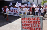 Manif anti réforme code travail
