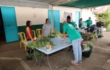 Saint-Pierre : les métiers de la nature, des secteurs qui recrutent et offrent de belles opportunités