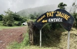 Pat'Jaune