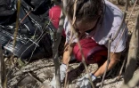Le Port : 40 personnes ramassent 10 tonnes de déchets à la Zac 2000