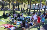 Comités de quartier de Saint-Leu 