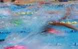 natation 