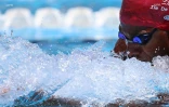 Natation 