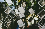 Bois de Lettres : huit arbres, huit communes pour des milliers de mots en faveur du vivre-ensemble