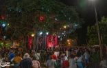 Le Port s'illumine pour les fêtes de fin d'années