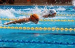 natation 