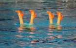 Natation synchro