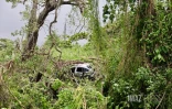 Garance : La Réunion, l'île en phase de sauvegarde