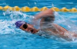 natation 