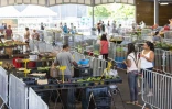 Saint-Joseph : le premier marché depuis le déconfinement 
