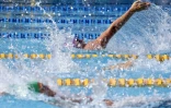  Natation championnat de la réunion bassin 25 mètres 