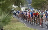 Tour Cycliste International de la Réunion 