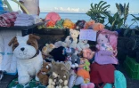 Saint-Paul accueille une brocante sur le front de mer 